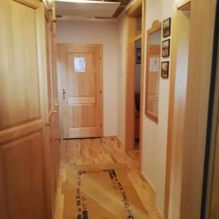 Bolfenk הוקו פורז'ה