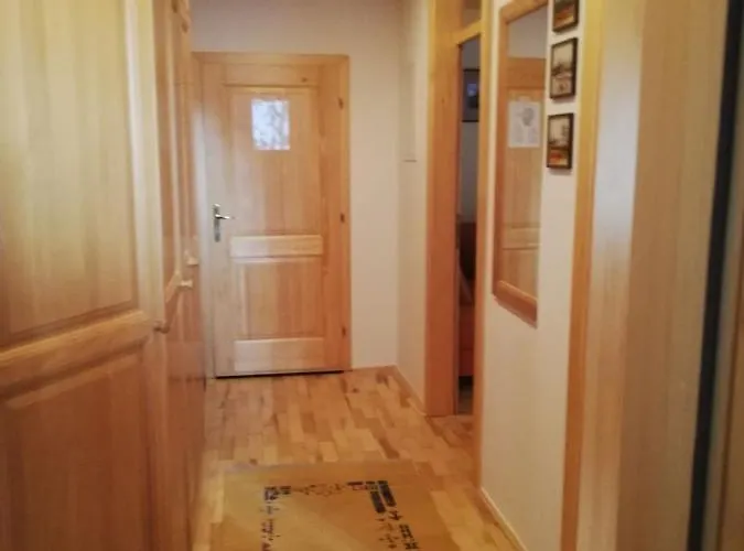 Bolfenk Hočko Pohorje